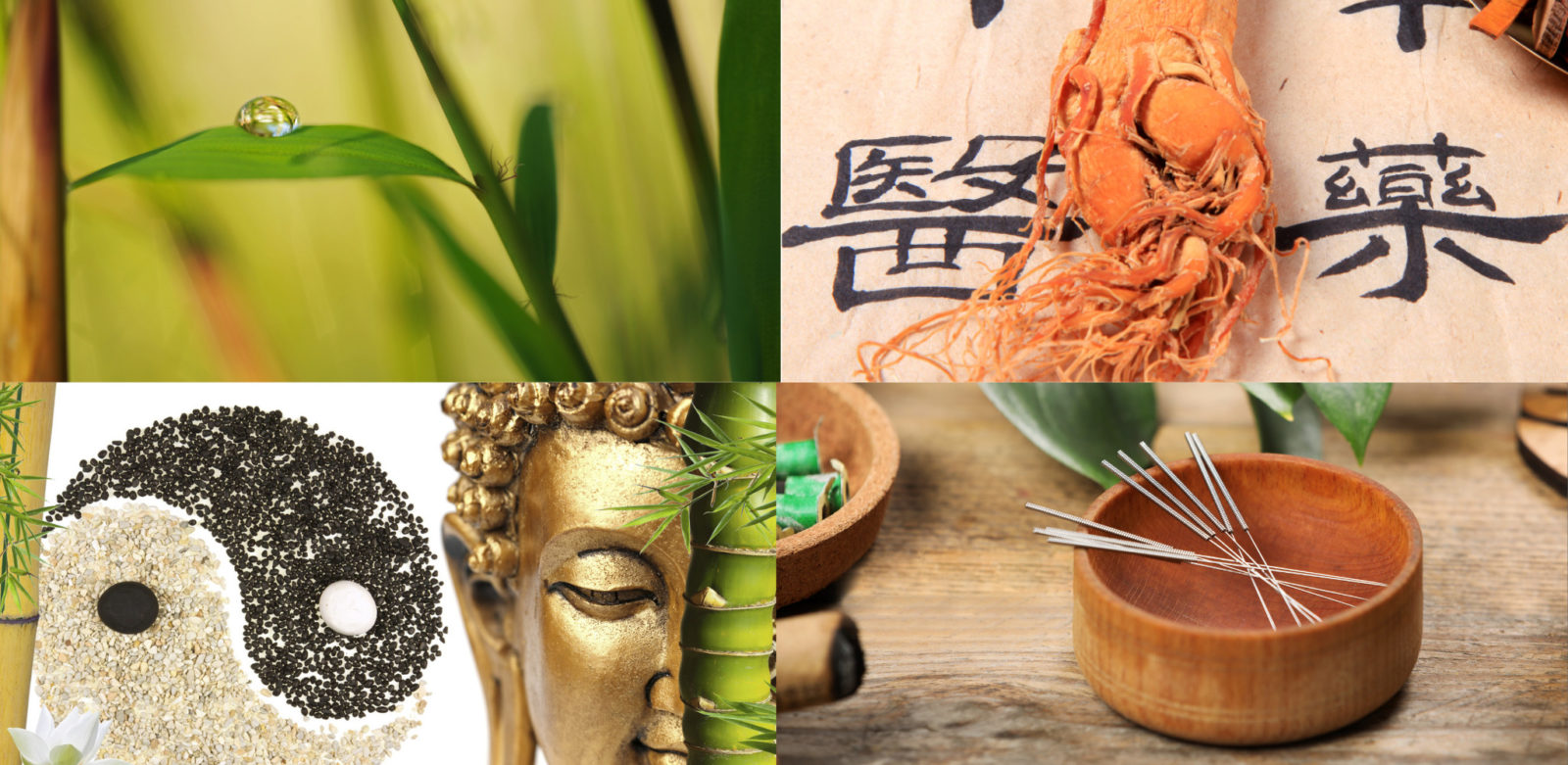 tcm, chinesische medizin tcm kinderwunsch, chinesische medizin