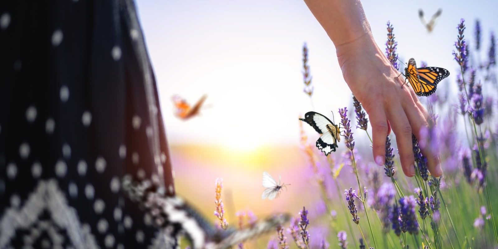 Psychotherapie Kinderwunsch Psychotherapie bei Kinderwunsch